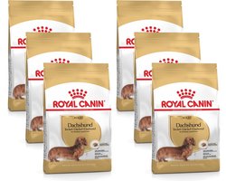Royal Canin Dachshund Adult - Hondenvoer - 6 x 1,5 kg - Volwassen Teckel