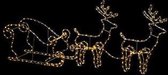 Lichtgevende slee met rendieren XXL 110cm x 53cm - 384 warmwitte led-lampjes - Slangenverlichting
