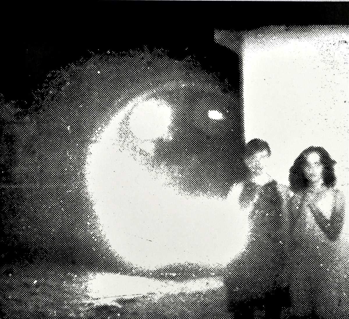 Other Lives - Tamer Animals (CD)