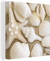 Coquillages Witte sur la plage 90x90 cm - Tirage photo sur toile (Décoration murale salon / chambre)