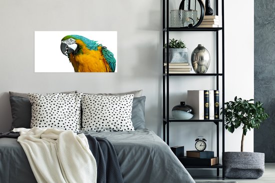 Affiche Perroquet - Vogel - Ressorts - Portrait - 80x40 cm