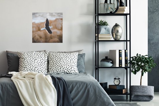 Affiche Mouette - Vogel - Ciel - 50x50 cm