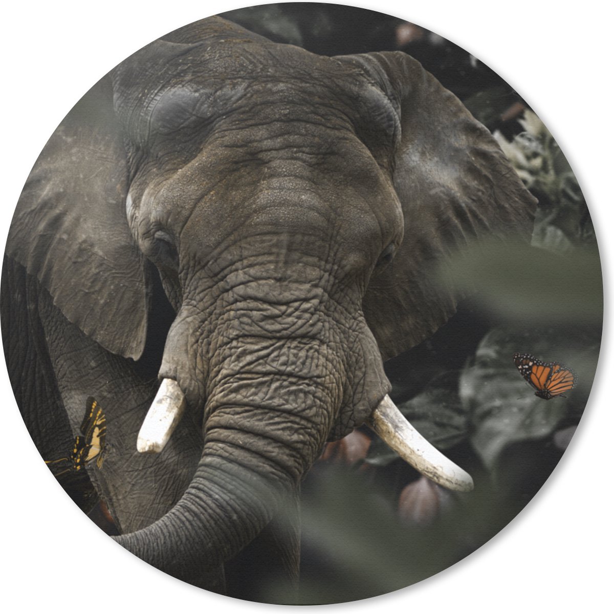 Muismat rond 30x30 cm - Mousepad Dieren - Olifant - Vlinders - Ronde muismatten