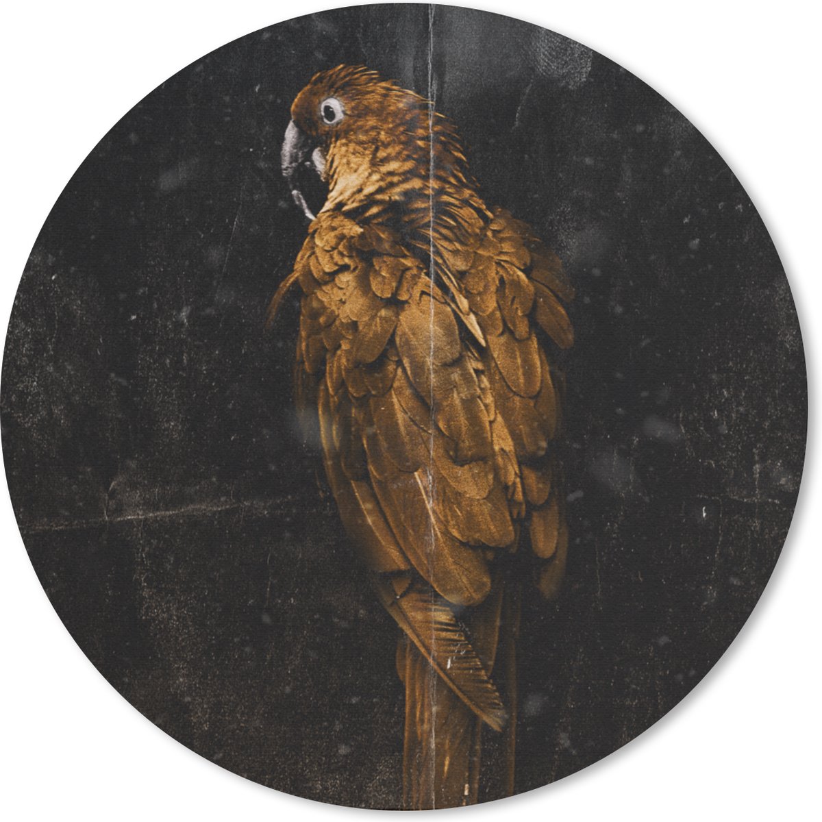 Muismat rond 20x20 cm - Mousepad Papegaai - Zwart - Goud - Ronde muismatten