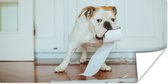 Poster Hond spelend met wc-papier - 160x80 cm