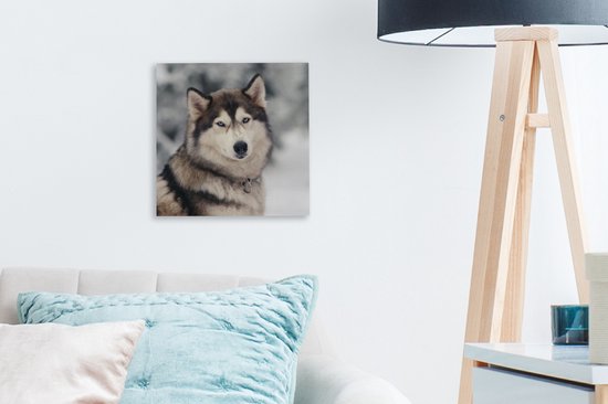 Toile Peinture Husky - 20x20 cm - Décoration murale