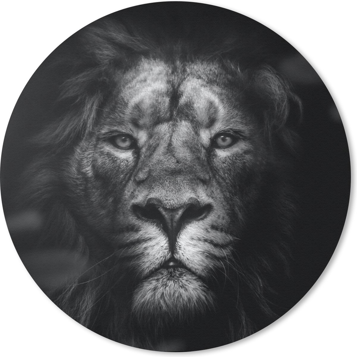Muismat rond 20x20 cm - Mousepad Dieren - Leeuw - Roofdier - Zwart - Wit - Ronde muismatten