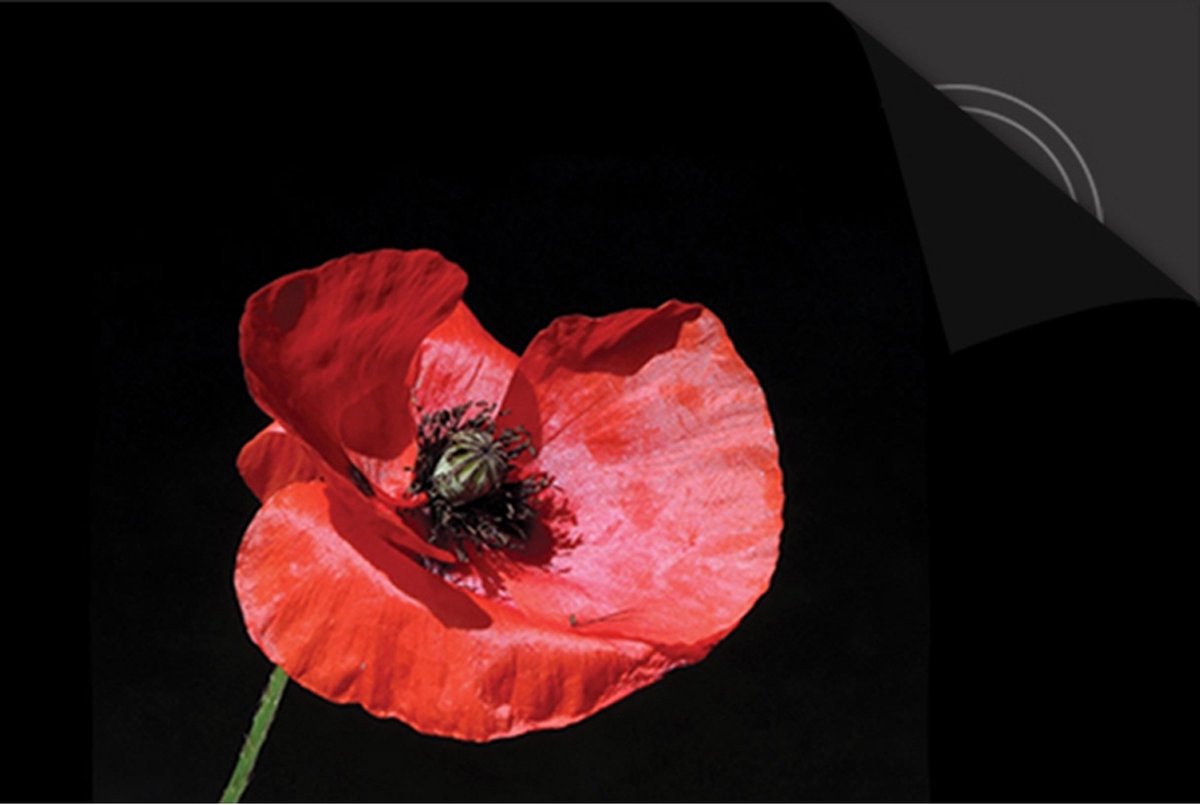 Inductie Beschermer Klaproos print Exclusief 76x51,5 cm