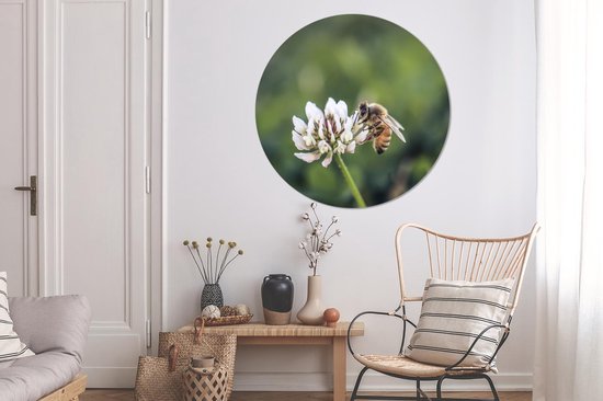 WallCircle - Wandcirkel - Muurcirkel - Bij - Insecten - Bloem - Aluminium - Dibond - ⌀ 120 cm - Binnen en Buiten XXL