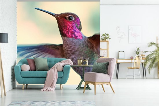 Un gros plan d'un colibri de couleur rose mâle papier peint photo 260x260 cm - Tirage photo sur papier peint