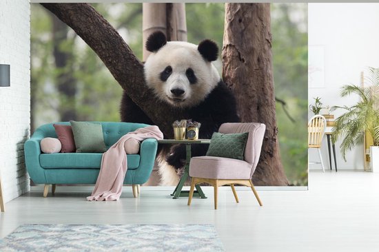Papier peint - Papier peint photo Panda - Arbre - Forêt - Largeur 390 cm x hauteur 260 cm