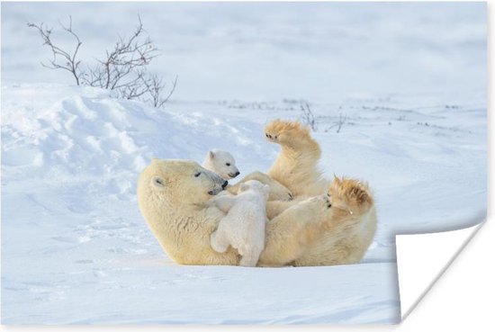 Poster IJsbeer - Sneeuw - Dieren - 60x40 cm - Kerstmis Decoratie -  Kerstversiering -... | bol
