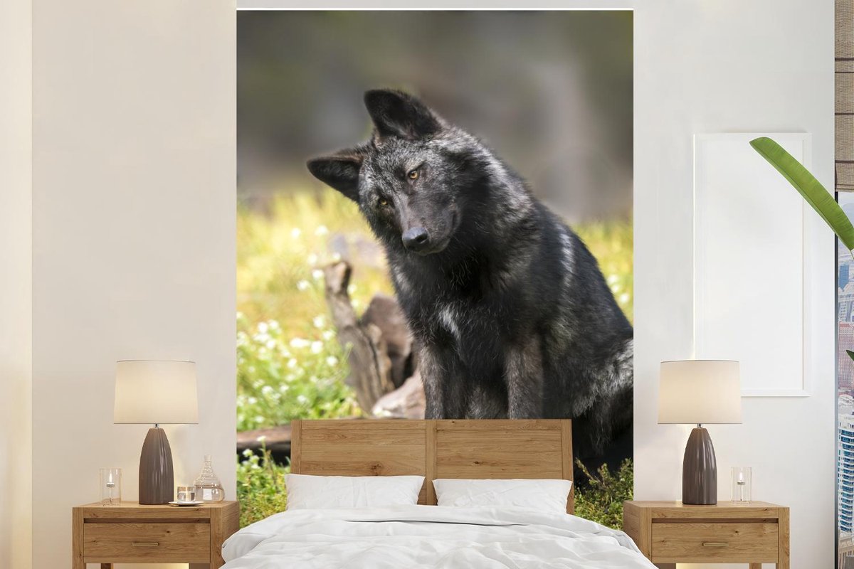 Behang - Fotobehang Wolf - Zwart - Gras - Breedte 195 cm x hoogte 300 cm