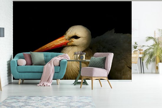 Papier peint Papier peint photo en vinyle - Portrait photo oiseau sur fond noir largeur 360 cm x hauteur 240 cm - Tirage photo sur papier peint (disponible en 7 tailles)