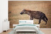 Behang - Fotobehang Hyena - Gras - Jacht - Breedte 375 cm x hoogte 240 cm