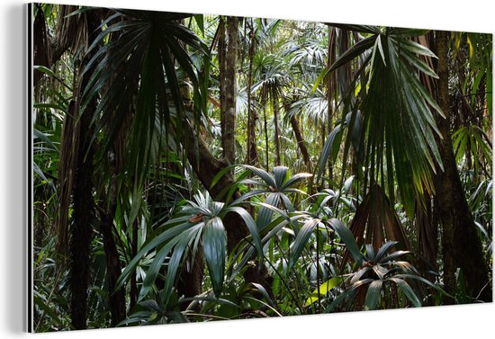 Wanddecoratie Metaal - Aluminium Schilderij Industrieel - Planten in regenwoud - 120x60 cm - Dibond - Foto op aluminium - Industriële muurdecoratie - Voor de woonkamer/slaapkamer