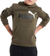 Puma Essentials+ 2 Col Big Logo Trui / Hoodie - Groen Kinderen - Maat 152