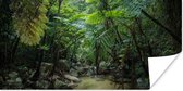 Poster Riviertje in tropische jungle - 160x80 cm