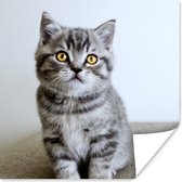 Poster Kitten - Ogen - Geel - Meisjes - Kinderen - Jongens - Kids - 75x75 cm