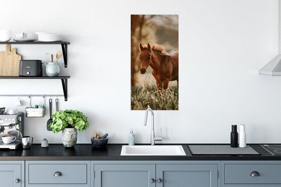 Affiche Cheval - Lumière - Prairie - 40x80 cm