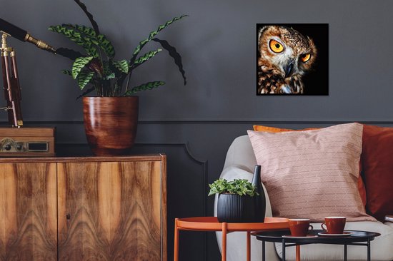 Cadre photo avec affiche - Hibou - Zwart - Jaune - 40x40 cm - Cadre pour affiche