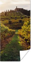 Poster Toscane - Landschap - Wijngaarden - 40x80 cm