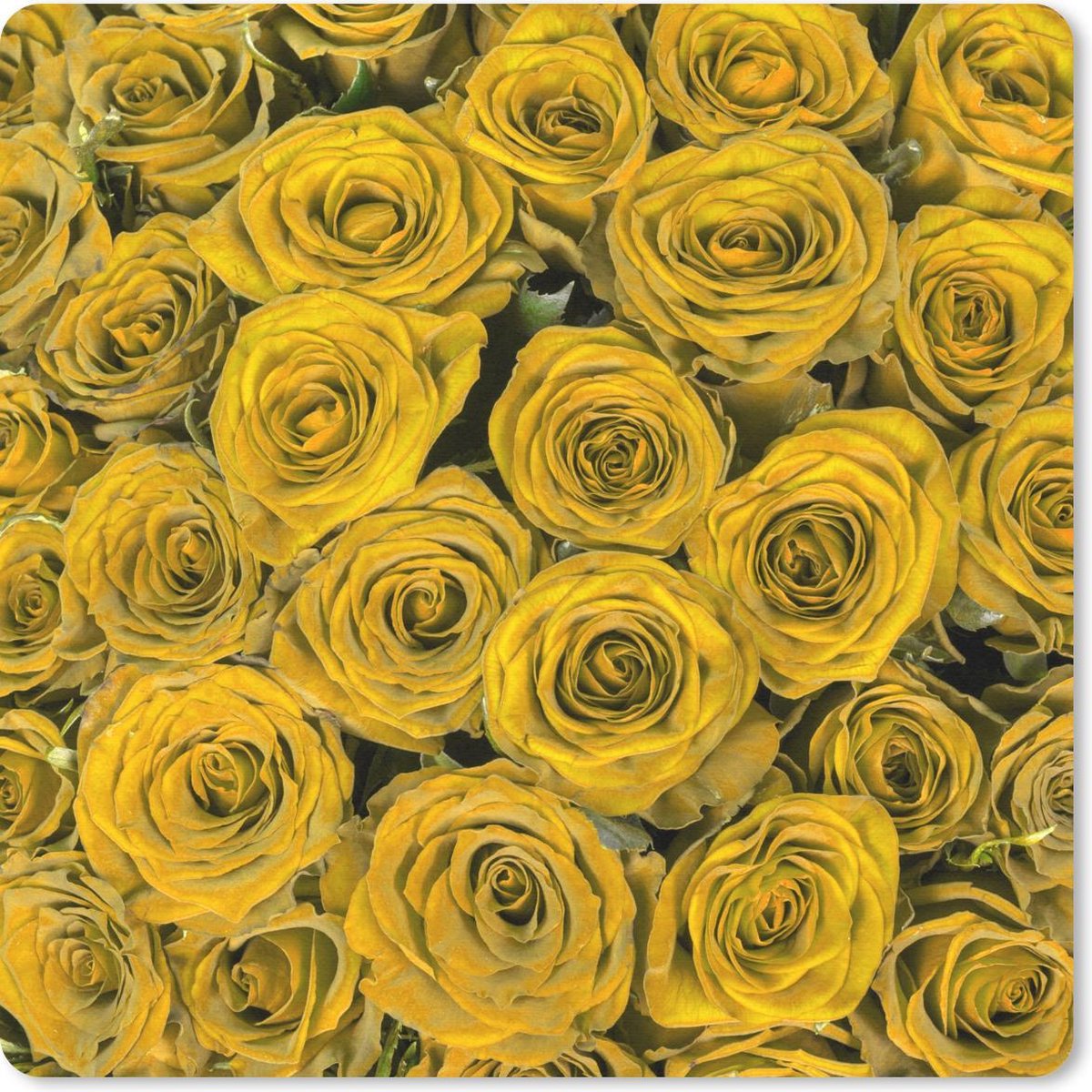 Muismat 30x30 cm - Mousepad Rozen - Geel - Boeket - Muismatten
