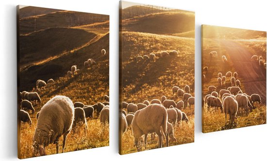 Artaza Canvas Schilderij Drieluik Schapen in de Heuvels bij Zonsondergang - 120x60 - Foto Op Canvas - Canvas Print