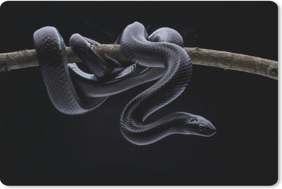 Sous-main de bureau 60x40 cm - Tapis de souris Serpent noir - Sous-main de bureau XL - Protecteur de tapis de bureau - Tapis de souris d'ordinateur