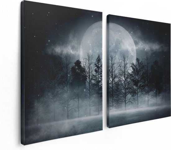 Deux toiles représentant un paysage de forêt nocturne avec pleine lune, sur fond blanc.