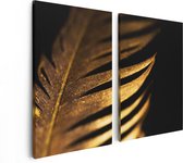 Artaza Canvas Schilderij Tweeluik Gouden Veer  - 80x60 - Foto Op Canvas - Canvas Print