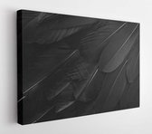 Canvas schilderij - Close up of black feathers background. Top view  -     1429853768 - 80*60 Horizontal