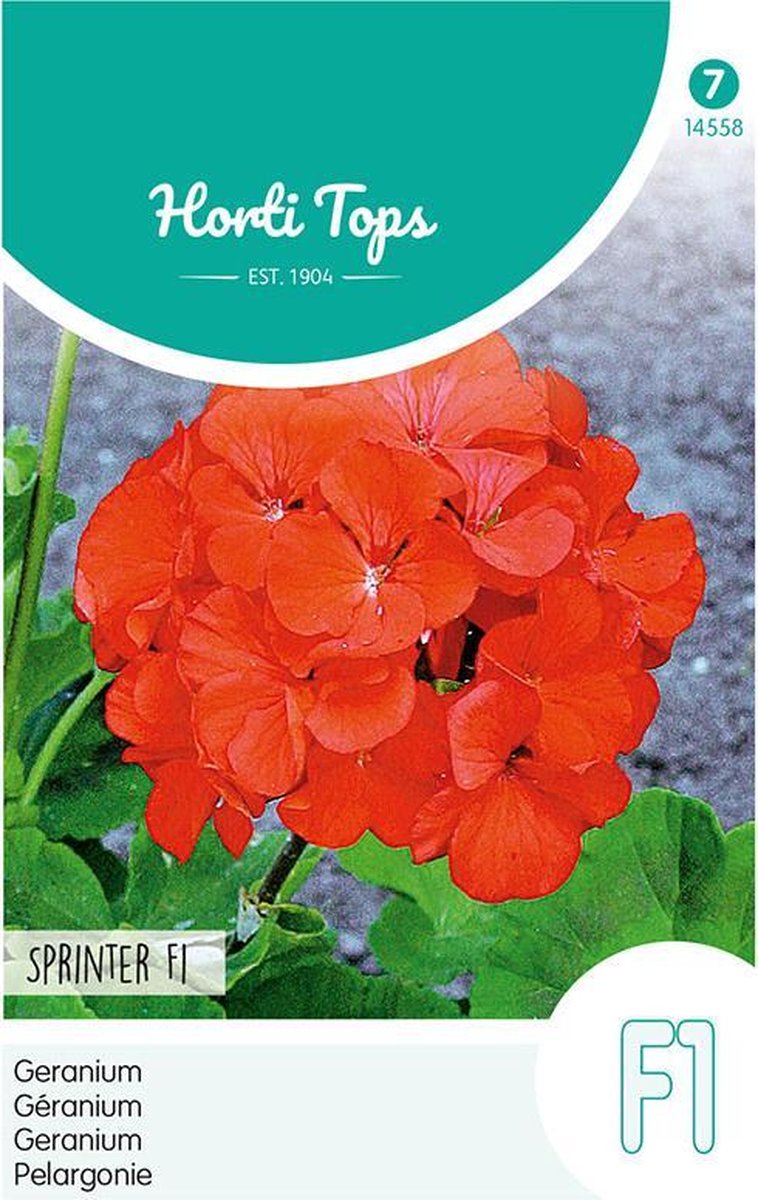 Hortitops zaden - Geranium Bloemzaad - Sprinter - Oranje/Rood