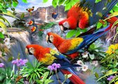 Diamond Painting Howard Robinson Flight of the Macaw Ronde Steentjes 65x90