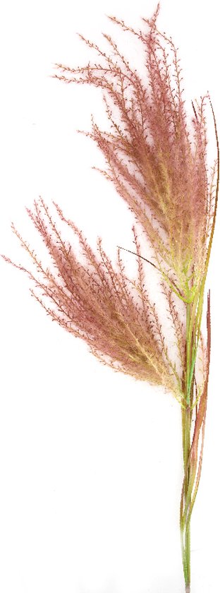 Branche artificielle d'herbe de pampa 2 pièces violet naturel | bol.com