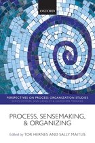 Process Sensemaking & Organizing Pros P