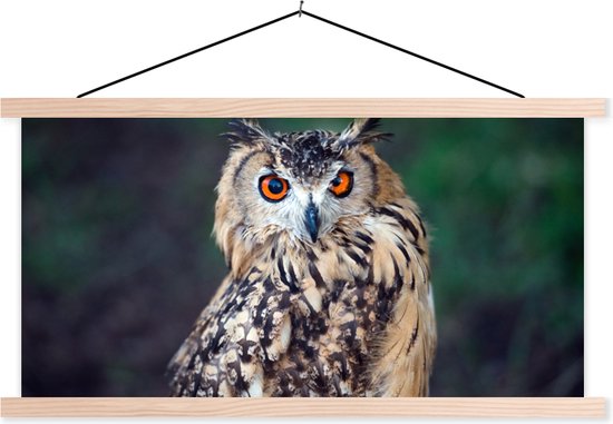 Porte-affiche avec affiche - Affiche scolaire - Hibou grand-duc - 60x30 cm - Lattes vierges