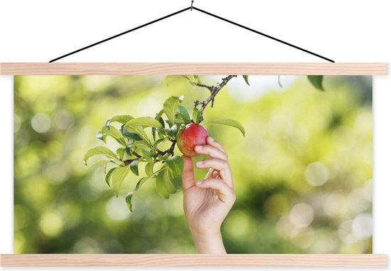 Posterhanger incl. Poster - Schoolplaat - Fruitbomen - Moestuin - Appel - 150x75 cm - Blanke latten