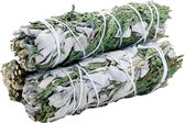 Witte Salie & Ceder Smudge Stick 22 cm