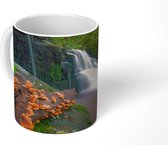 Mok - De Mun Daeng waterval in het tropisch regenwoud van het nationaal park Phu Hin Rong Kla - 350 ML - Beker