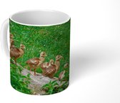 Mok - Pauw - Vogels - Gras - 350 ML - Beker