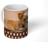 Mok - Een Yorkshire Terrier zit in een mand - 350 ML - Beker