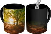 Magische Mok - Foto op Warmte Mok - Panorama van het Nationaal park New Forest in Engeland - 350 ML