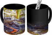 Magische Mok - Foto op Warmte Mok - Baby alligators bij hun moeder - 350 ML