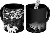 Magische Mok - Foto op Warmte Mok - Een veld met witte Echinacea bloemen - zwart wit - 350 ML