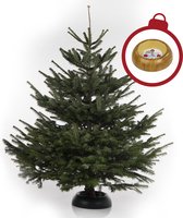 Echte Nordmann Kerstboom - 160-175 cm - A-kwaliteit - MET Quicktreestand Kerstboomstandaard HOUTLOOK