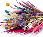 Bloomgift | Droogbloemen | Droogboeket Helsinki | ↕ 55cm | Lang houdbaar | Excl. Vaas