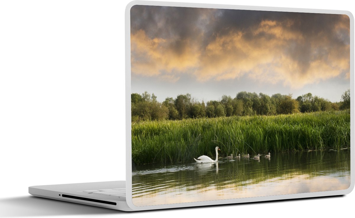 Afbeelding van product SleevesAndCases  Laptop sticker - 11.6 inch - Afbeelding van een zwaan en haar jongen die in de Theems rivier zwemmen