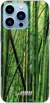 6F hoesje - geschikt voor iPhone 13 Pro Max - Transparant TPU Case - Bamboo #ffffff