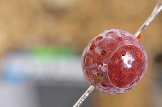 Korda Super Wrap 8-12mm - Krimpkous van Korda — afbeelding 5
